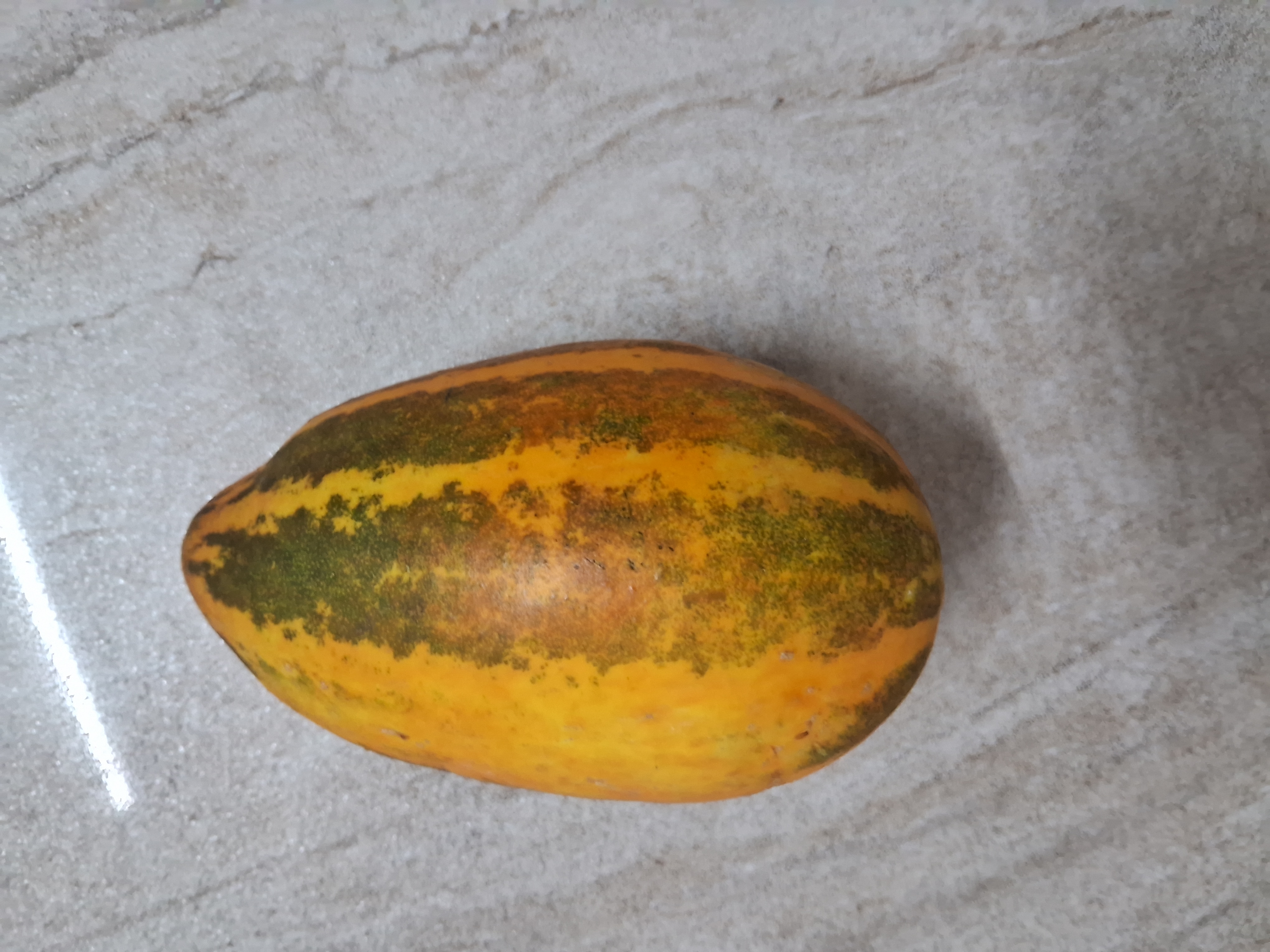 Mangalore Cucumber